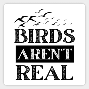 Birds Aren't Real Magnet